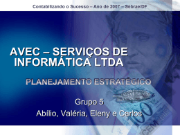 avec - serviços de informática ltda
