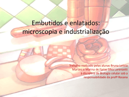 Embutidos: microscopia e industrialização
