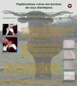 Poster papiloma - Universidade de Évora