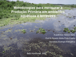 Métodos para mensurar produção primária em ambientes aquáticos
