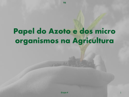 Papel do Azoto e dos Microrganismos na Agricul - pradigital
