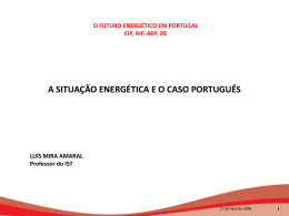 A situação energetica e o caso português