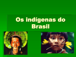 Os indígenas do Brasil