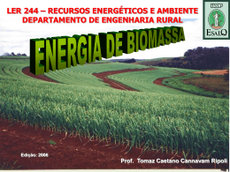 ler 244 energia biomassa palhiço aula