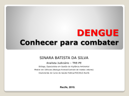 Veja a apresentação com informações sobre a dengue