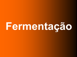 fermentacao