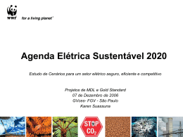 Agenda Elétrica Sustentável 2020 Estudo de Cenários para um