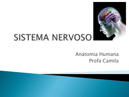 12 - Sistema Nervoso