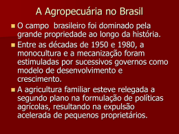 A Agropecuária no Brasil