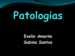 Evelin Amorim / Sabina Santos