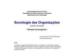 O que é a Sociologia das Organizações