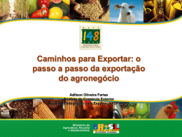 Exportações do Agronegócio - Cenário 2009