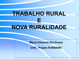 As Novas Perspectivas do Meio Rural Brasileiro