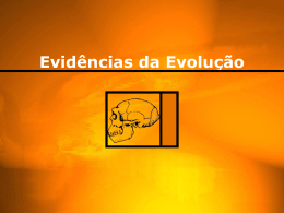 Evidências da Evolução - 3º ano (Ensino Médio)