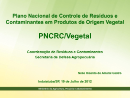 IN 42/2008: Institui o PNCRC/vegetal