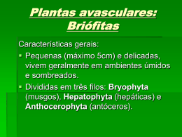 Capítulo 7 Briófitas e traqueófitas
