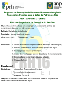 Painel - IV Workshop PRH16 - 2004