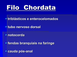 Filo Chordata - Colégio Juvenal de Carvalho