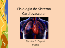 Sistema Cardiovascular 1 e 2 - FTP