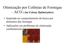 ACO (Ant Colony Optimization)