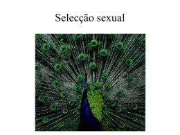 Selecção sexual