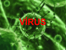VÍRUS A palavra vírus origina do latim e significa veneno ou fluido