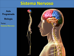 Sistema Nervoso - Colégio Machado de Assis