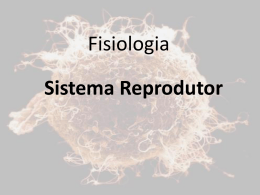 sistema reprodutor_1 - Universidade Federal Fluminense