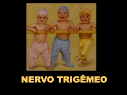 Nervo Trigêmeo - Parte I 2,4 MB