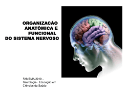 Organização Anatômica e Funcional do Sistema Nervoso
