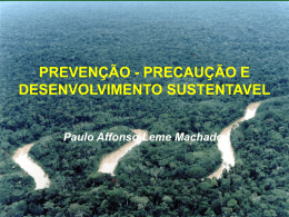 Paulo Afonso Leme Machado: PREVENÇÃO, PRECAUÇÃO E