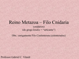 Reino Metazoa – Filo Cnidaria (cnidários) (do grego knidós