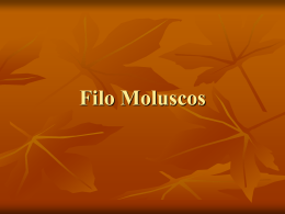 Filo Moluscos