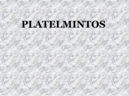 PLATELMINTOS - Simone Bolognini