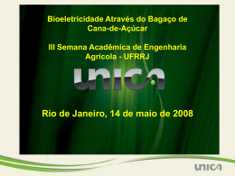 1/3 >> bagaço (bioeletricidade)
