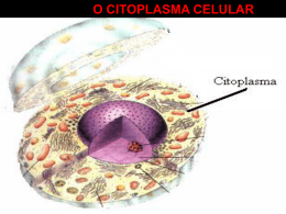o citoplasma celular