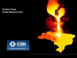 Apresentação CSN - NME-CEAG-FGV2011-1