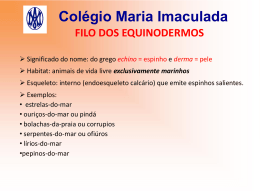 Colégio Maria Imaculada FILO DOS EQUINODERMOS