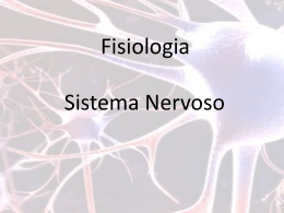 sistema nervoso_2 - Universidade Federal Fluminense