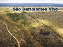 Projeto Rio São Bartolomeu Vivo - Comitê de Bacia Hidrográfica do