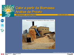 Calor a partir da Biomassa Análise de Projeto
