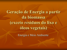Geração de Energia a partir da biomassa (exceto resíduos do lixo e