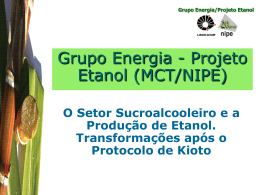 Grupo Energia – Projeto Etanol – MCT-NIPE