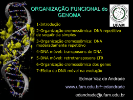 Organização do Genoma II