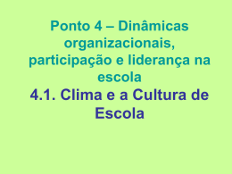 Ponto 4 – Dinâmicas organizacionais, participação e liderança na