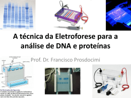 Eletroforese_PCR_Sequenciamento