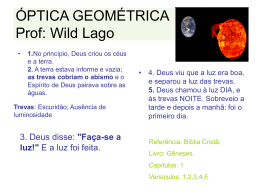 ÓPTICA GEOMÉTRICA Prof: Wild Lago