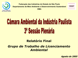 Relato Final GT Licenciamento Ambiental_2005.