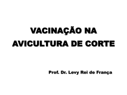 Vacinação - Blog do Levy