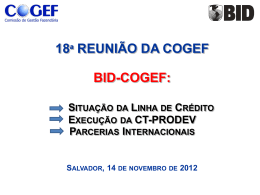 Anexo 13 – COGEF 18a reunião apresentacao BID
